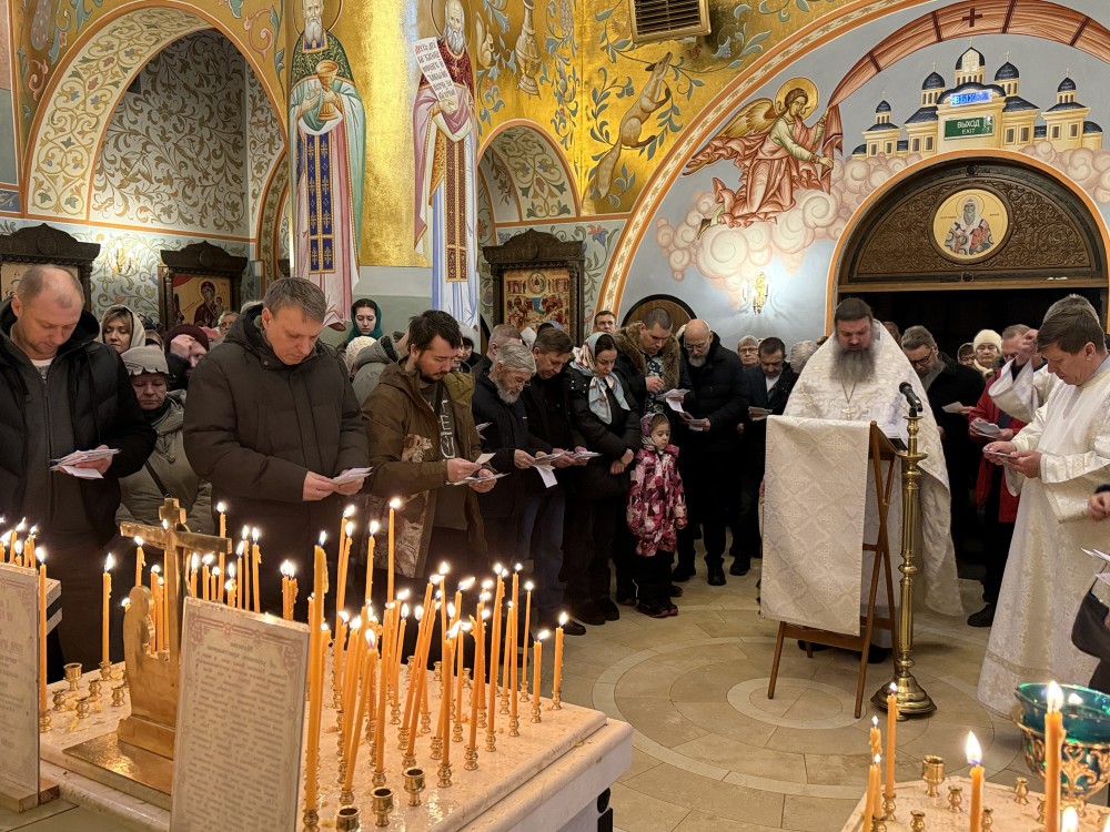 Родительская 14.02.2026