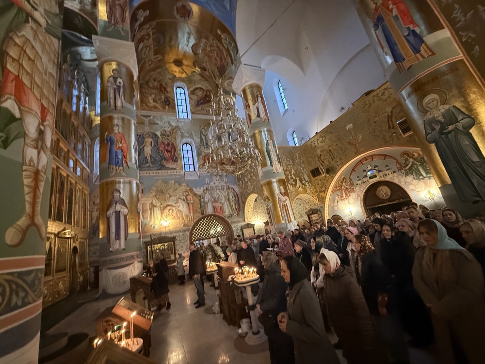 ������� ���������