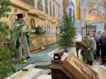 День Святой Троицы. Пятидесятница День Святой Троицы. Пятидесятница